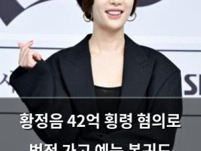 황정음 42억 횡령 혐의로 법정 가고 예능 복귀도 위태로운 상황