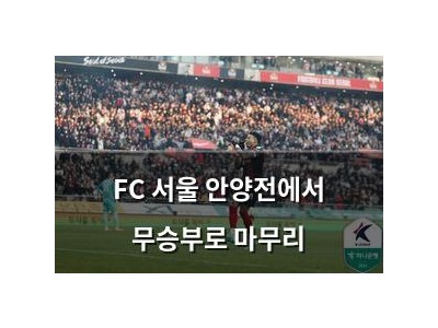 FC 서울 안양전에서 무승부로 마무리