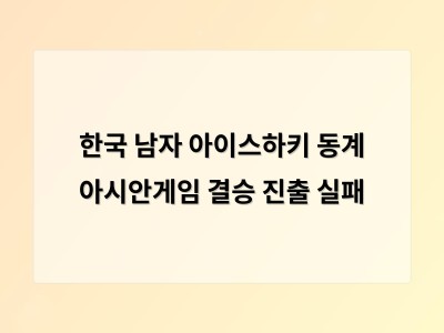 한국 남자 아이스하키 동계 아시안게임 결승 진출 실패