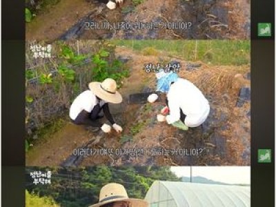 김정난 농사 후 예상치 못한 기쁨 얻다