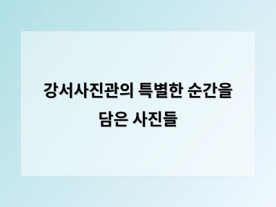강서사진관의 특별한 순간을 담은 사진들