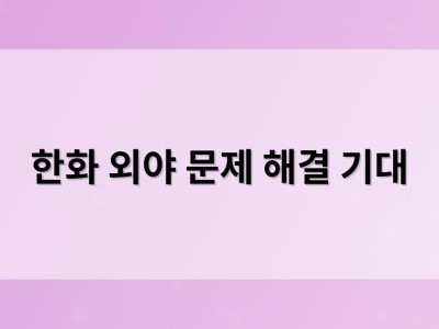 한화 외야 문제 해결 기대
