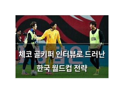 체코 골키퍼 인터뷰로 드러난 한국 월드컵 전략