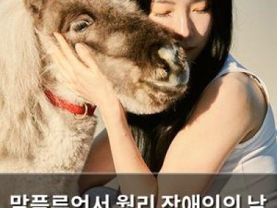 말플루언서 월리 장애인의 날 행사에 등장해 화제
